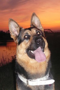 Obrázok